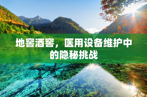 地窖酒窖，医用设备维护中的隐秘挑战