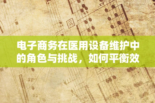 电子商务在医用设备维护中的角色与挑战，如何平衡效率与安全？