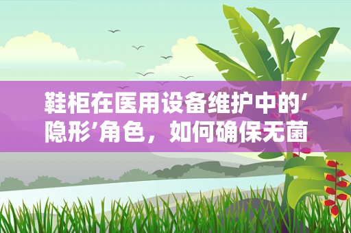 鞋柜在医用设备维护中的‘隐形’角色，如何确保无菌环境？