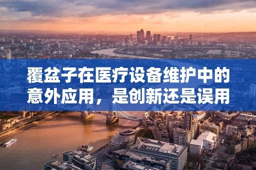 覆盆子在医疗设备维护中的意外应用，是创新还是误用？
