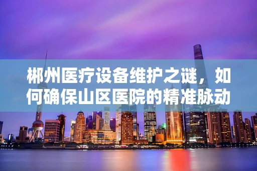 郴州医疗设备维护之谜，如何确保山区医院的精准脉动？
