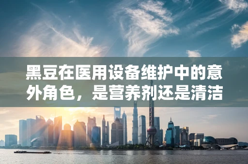 黑豆在医用设备维护中的意外角色，是营养剂还是清洁剂？