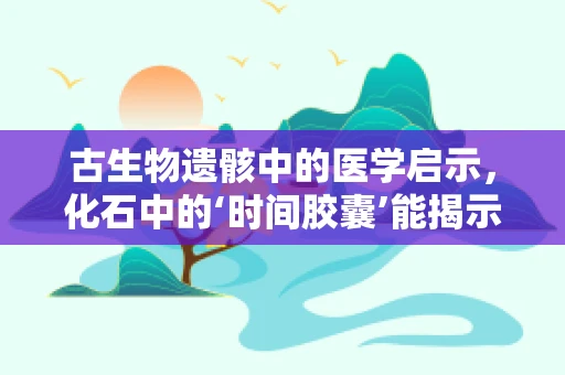 古生物遗骸中的医学启示，化石中的‘时间胶囊’能揭示什么？