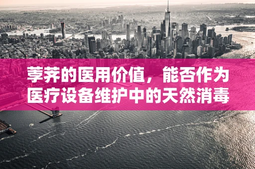 荸荠的医用价值，能否作为医疗设备维护中的天然消毒剂？