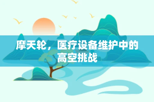 摩天轮，医疗设备维护中的高空挑战