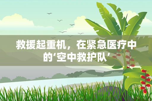 救援起重机，在紧急医疗中的‘空中救护队’