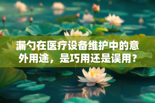 漏勺在医疗设备维护中的意外用途，是巧用还是误用？
