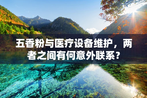 五香粉与医疗设备维护，两者之间有何意外联系？