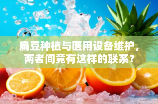 扁豆种植与医用设备维护，两者间竟有这样的联系？