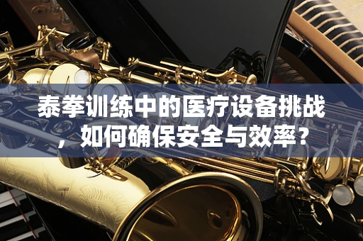 泰拳训练中的医疗设备挑战，如何确保安全与效率？