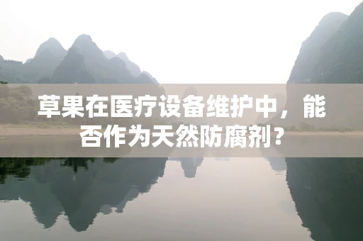 草果在医疗设备维护中，能否作为天然防腐剂？