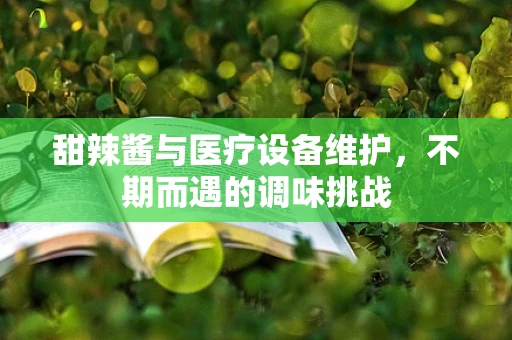 甜辣酱与医疗设备维护，不期而遇的调味挑战