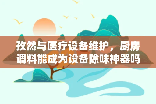 孜然与医疗设备维护，厨房调料能成为设备除味神器吗？