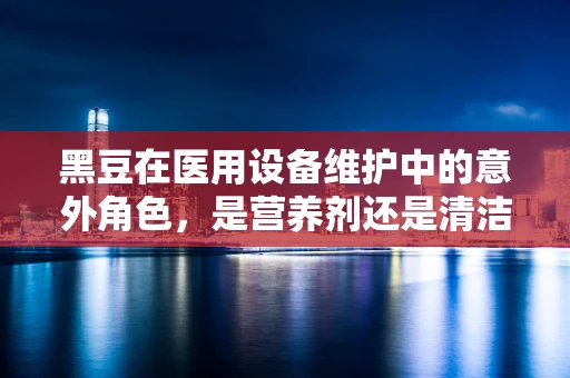 黑豆在医用设备维护中的意外角色，是营养剂还是清洁剂？