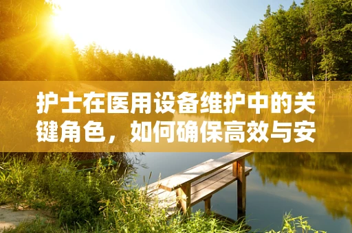 护士在医用设备维护中的关键角色，如何确保高效与安全？