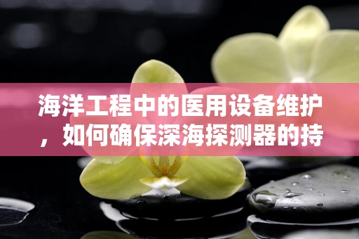海洋工程中的医用设备维护，如何确保深海探测器的持久性？