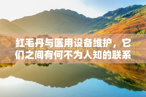 红毛丹与医用设备维护，它们之间有何不为人知的联系？