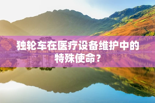 独轮车在医疗设备维护中的特殊使命？
