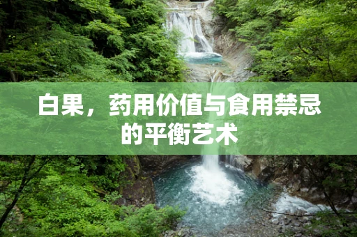 白果，药用价值与食用禁忌的平衡艺术