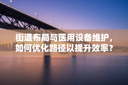 街道布局与医用设备维护，如何优化路径以提升效率？