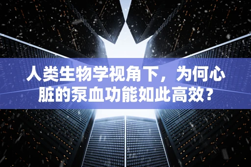 人类生物学视角下，为何心脏的泵血功能如此高效？
