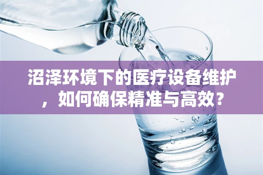 沼泽环境下的医疗设备维护，如何确保精准与高效？