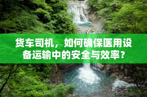 货车司机，如何确保医用设备运输中的安全与效率？