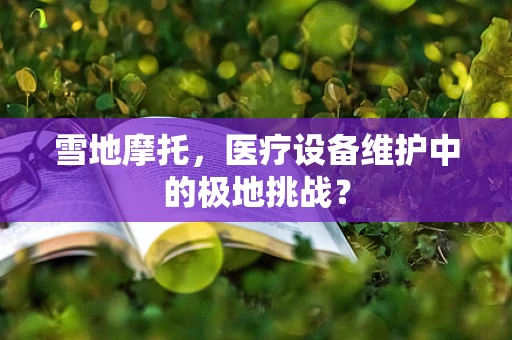 雪地摩托，医疗设备维护中的极地挑战？