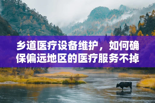 乡道医疗设备维护，如何确保偏远地区的医疗服务不掉线？