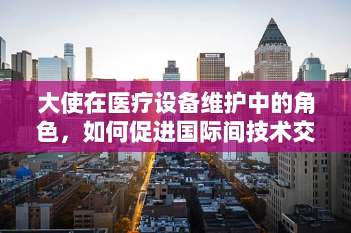 大使在医疗设备维护中的角色，如何促进国际间技术交流与协作？