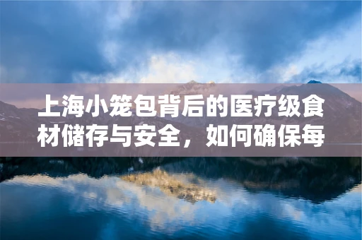 上海小笼包背后的医疗级食材储存与安全，如何确保每一口都新鲜如初？
