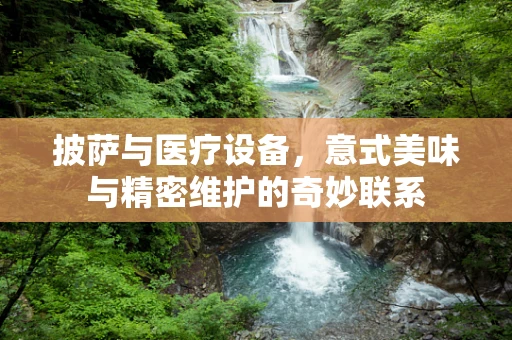 披萨与医疗设备，意式美味与精密维护的奇妙联系