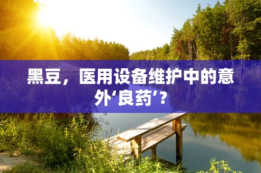 黑豆，医用设备维护中的意外‘良药’？