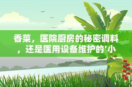 香菜，医院厨房的秘密调料，还是医用设备维护的‘小难题’？