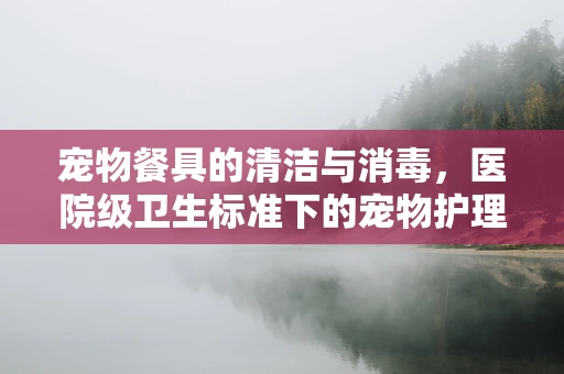宠物餐具的清洁与消毒，医院级卫生标准下的宠物护理关键