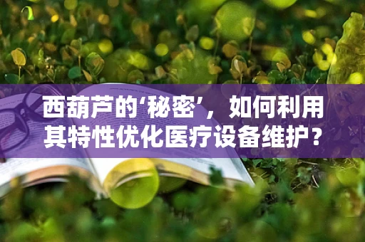 西葫芦的‘秘密’，如何利用其特性优化医疗设备维护？