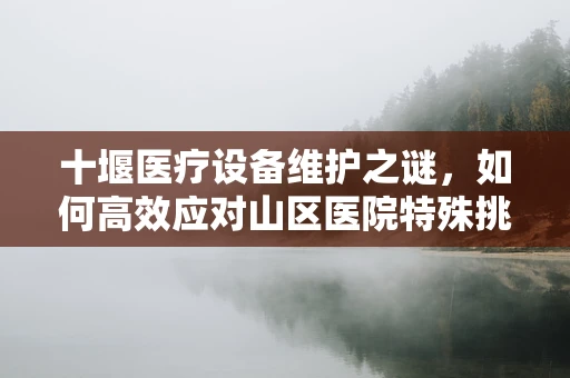 十堰医疗设备维护之谜，如何高效应对山区医院特殊挑战？