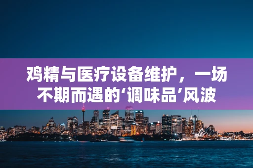 鸡精与医疗设备维护，一场不期而遇的‘调味品’风波