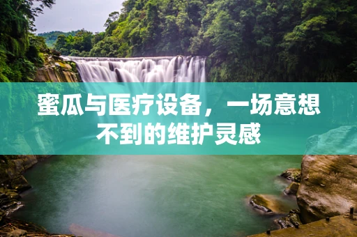 蜜瓜与医疗设备，一场意想不到的维护灵感