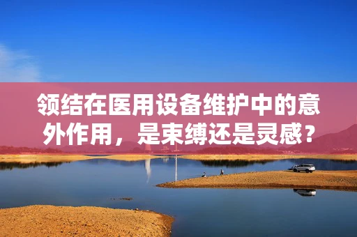 领结在医用设备维护中的意外作用，是束缚还是灵感？