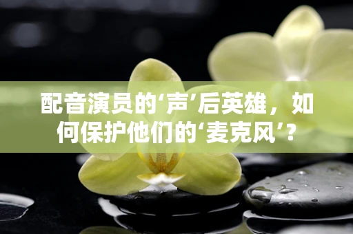 配音演员的‘声’后英雄，如何保护他们的‘麦克风’？