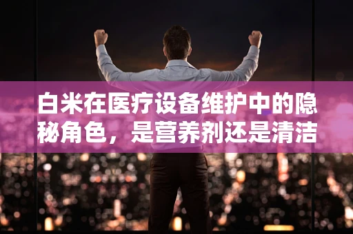 白米在医疗设备维护中的隐秘角色，是营养剂还是清洁剂？