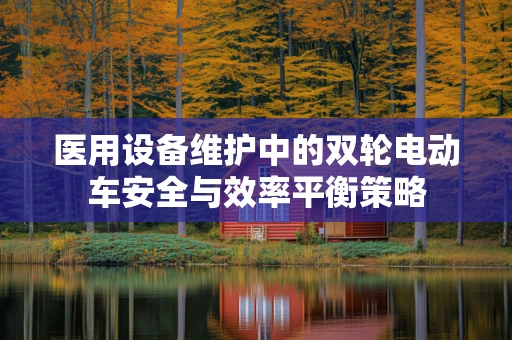 医用设备维护中的双轮电动车安全与效率平衡策略