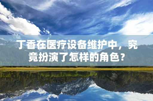丁香在医疗设备维护中，究竟扮演了怎样的角色？