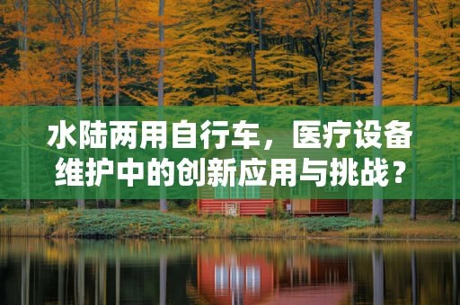 水陆两用自行车，医疗设备维护中的创新应用与挑战？