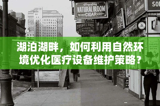 湖泊湖畔，如何利用自然环境优化医疗设备维护策略？