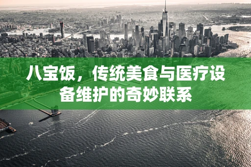 八宝饭，传统美食与医疗设备维护的奇妙联系