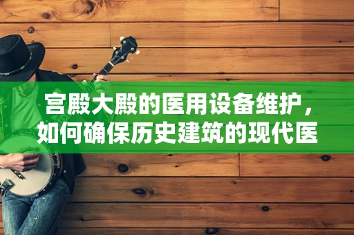 宫殿大殿的医用设备维护，如何确保历史建筑的现代医疗设施安然无恙？