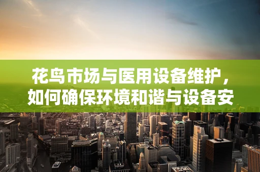 花鸟市场与医用设备维护，如何确保环境和谐与设备安全？