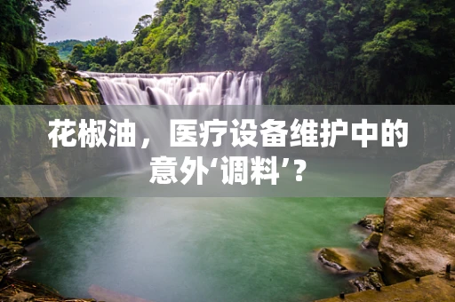 花椒油，医疗设备维护中的意外‘调料’？